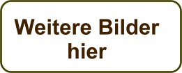 Weitere Bilder hier