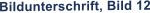 Bildunterschrift, Bild 12
